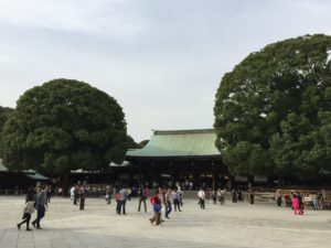 明治神宮に参拝してきました！