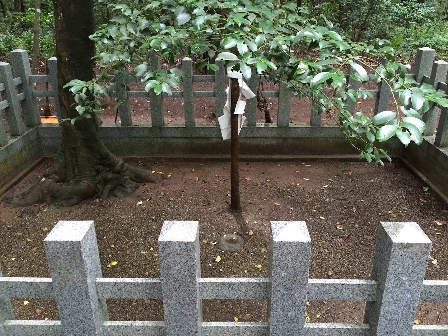 鹿島神宮　要石