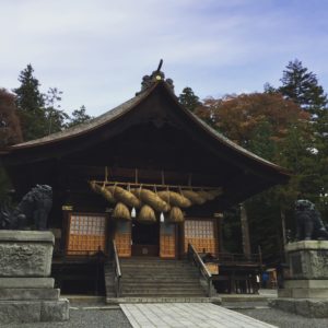 諏訪大社４社巡りに行ってきました！