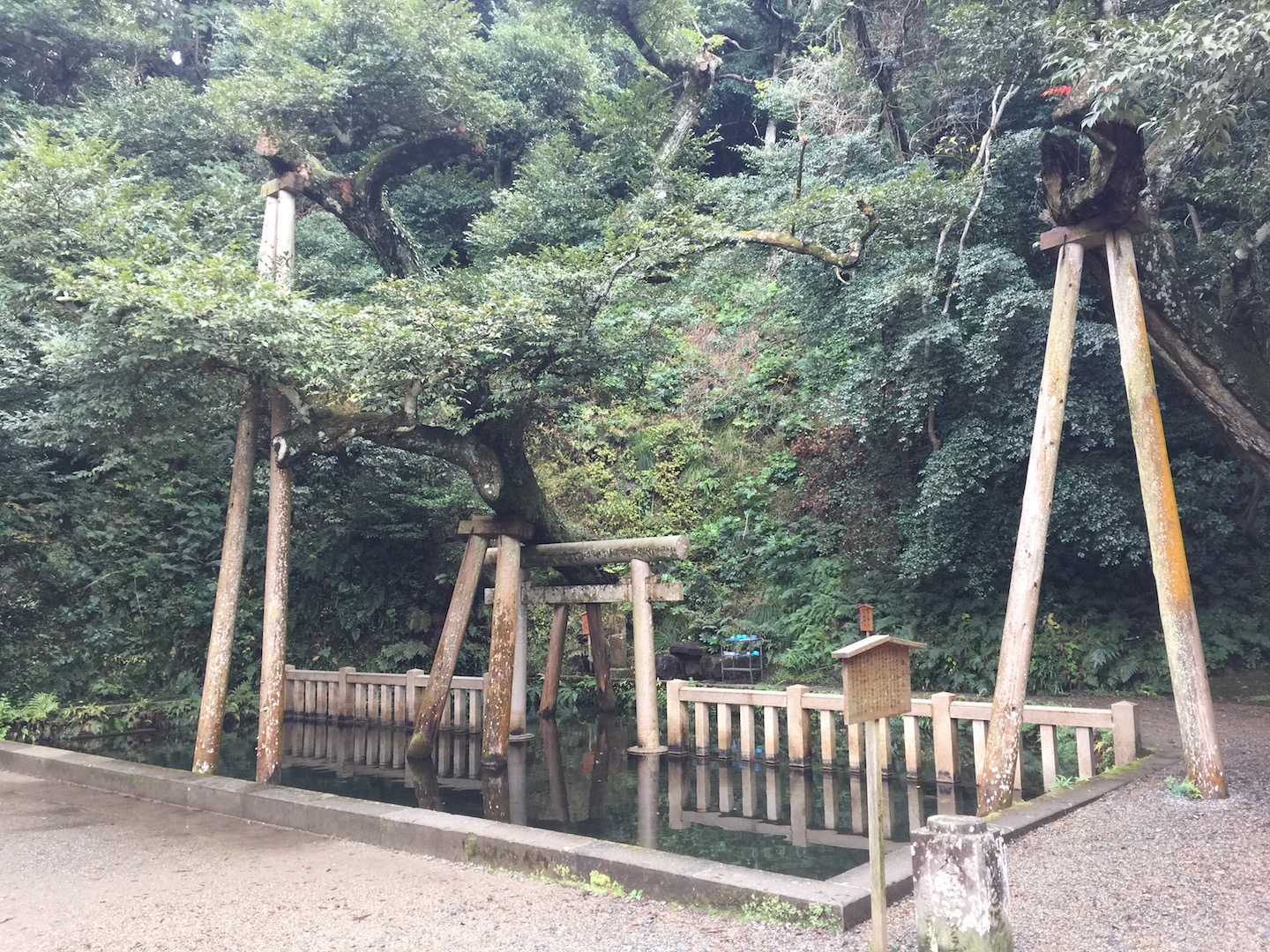 鹿島神宮　御手洗池