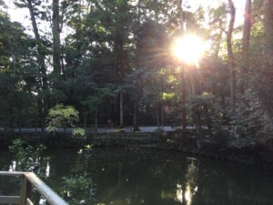 伊勢神宮参拝日記②〜内宮参拝の前に、外宮参拝〜