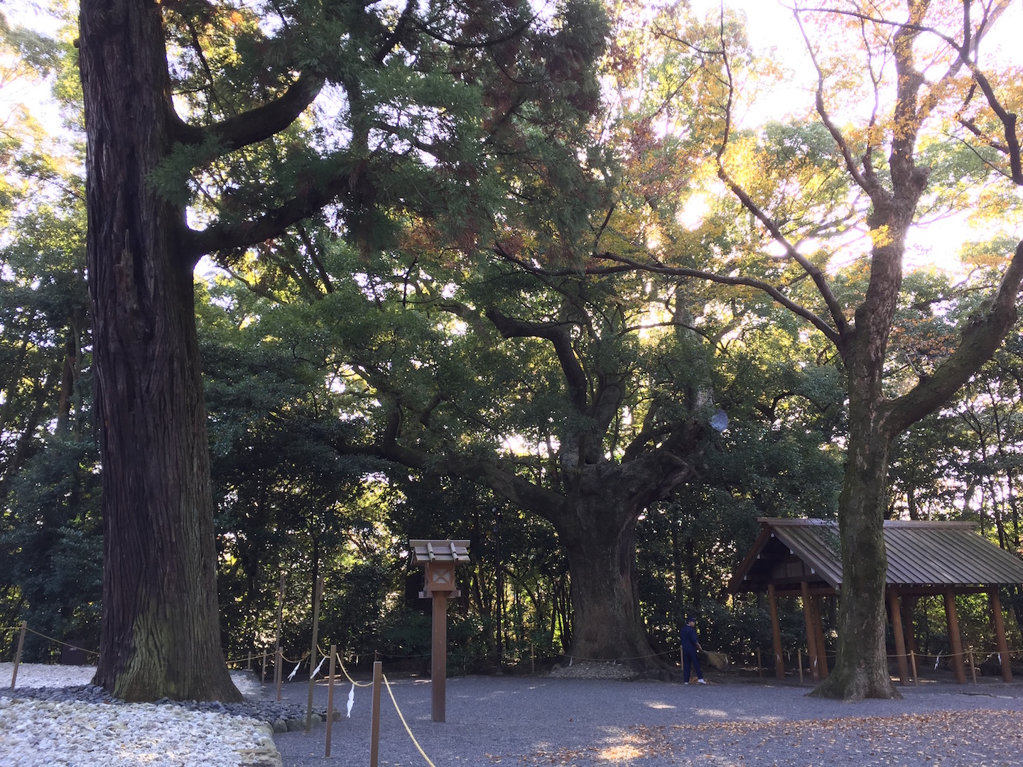 伊勢神宮外宮　月夜見宮