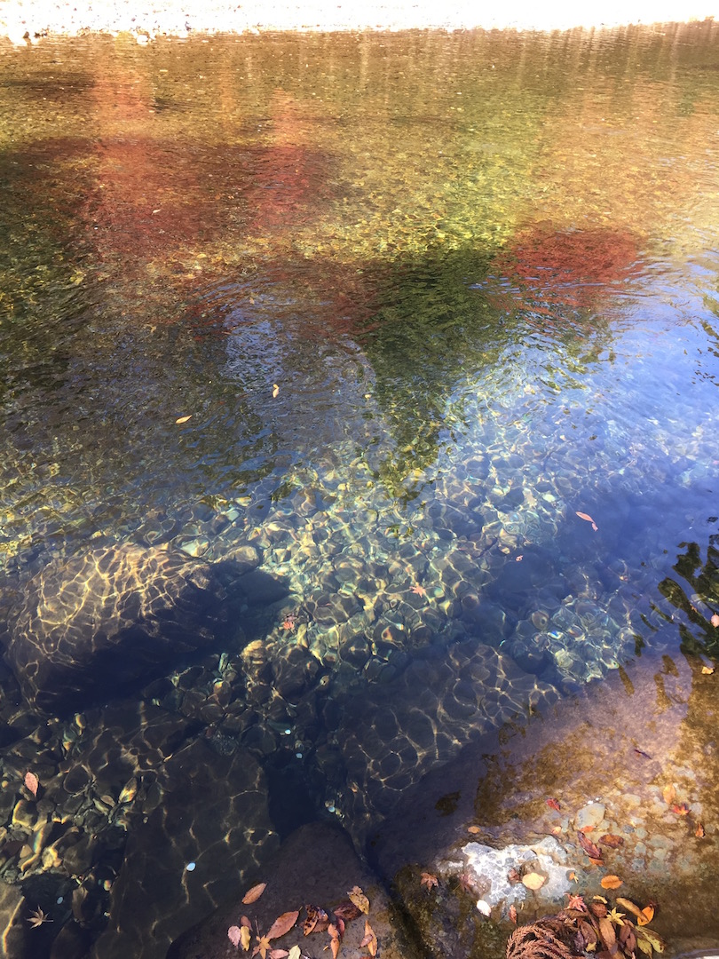 伊勢神宮内宮　五十鈴川
