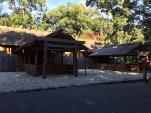 伊勢神宮参拝日記⑤〜月読宮、倭姫宮〜