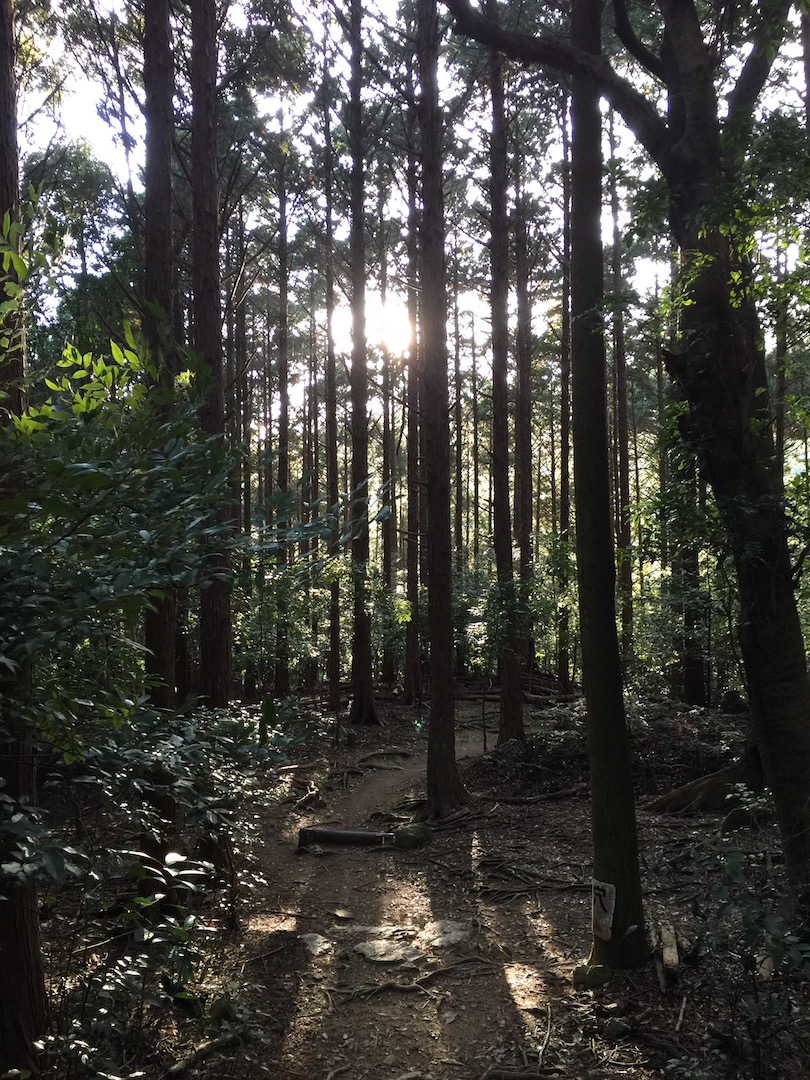 天の岩戸　伊勢