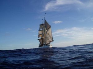 他人の意見に流されていませんか？自分の意見持っていますか？