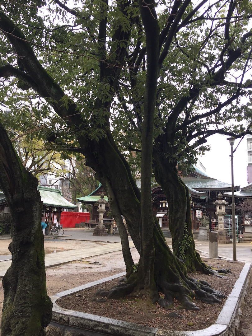 高牟神社