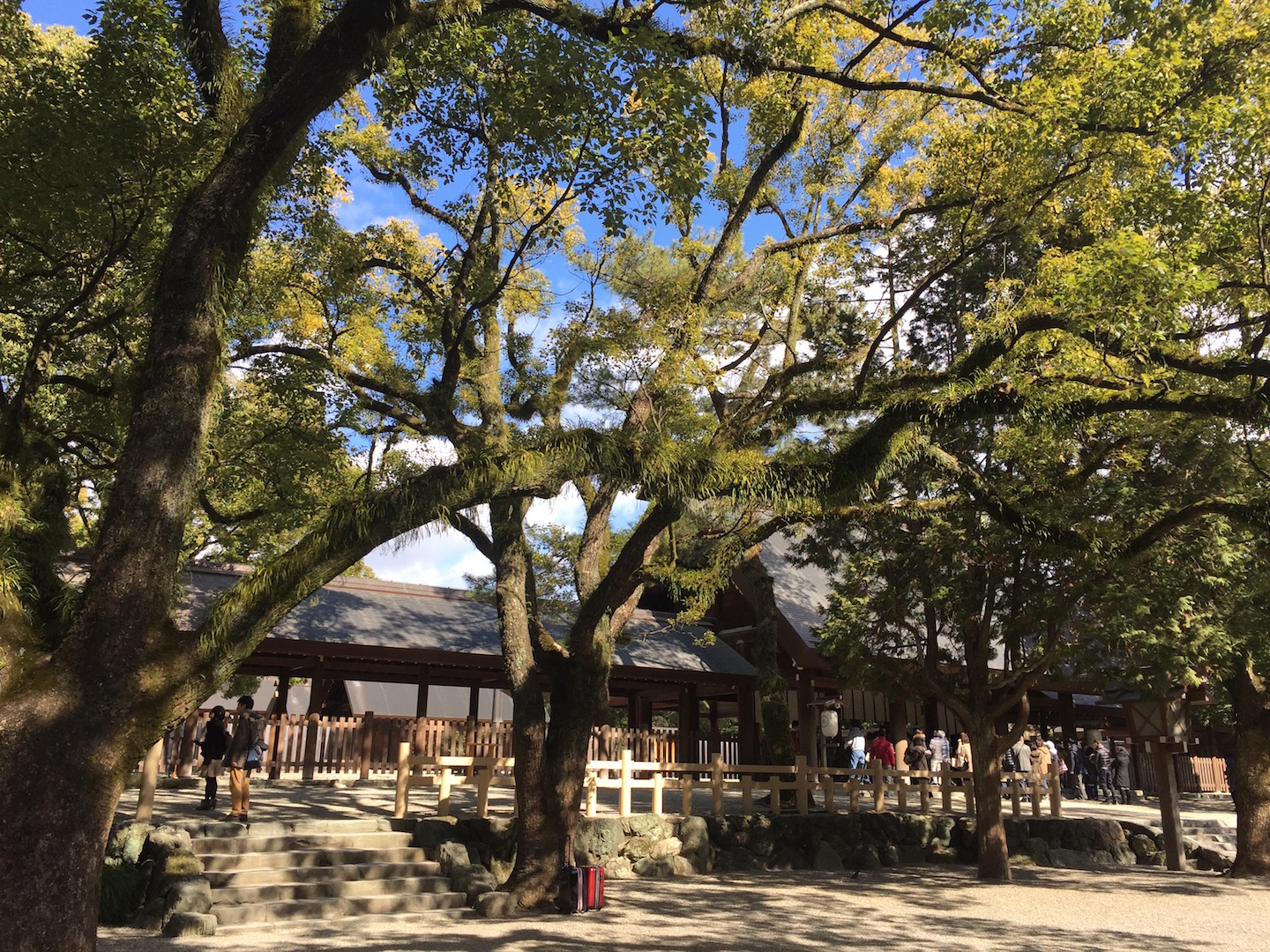 熱田神宮で感じた太陽と木の力。